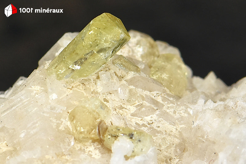 Détail des cristaux translucides jaunes de Brazilianite (phosphate).