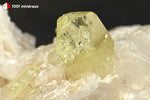 Brazilianite sur Albite du Brésil - 37 g / BE873 - Vignette | 1001 minéraux