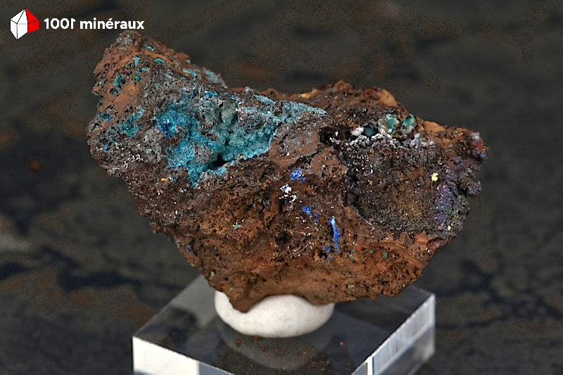 Allophane sur Limonite de Salsigne (Aude) - Microcristaux bleus. Pièce unique.