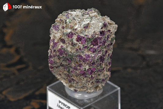 Pyrope et Diopside de Norvège - Grenat rouge avec pyroxène vert. Pièce unique.