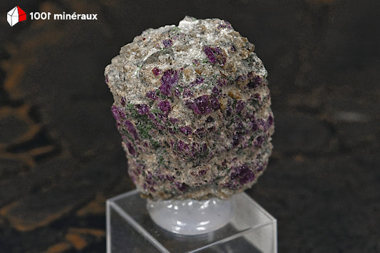 Pyrope et Diopside de Norvège - Grenat rouge avec pyroxène vert. Pièce unique.