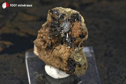 Lussatite mine des Roys (Puy-de-Dôme) - Cristaux en éventail sur base amorphe. Pièce unique.