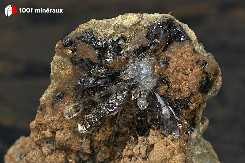 Détail des cristaux translucides de Lussatite disposés en éventail sur base amorphe.
