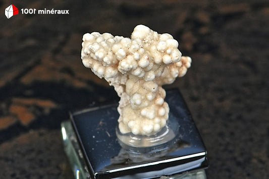 Picropharmacolite de Salsigne (Aude) - Formation botryoïdale blanche BE898.