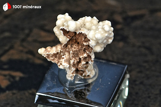 Picropharmacolite de Salsigne (Aude) - Formation botryoïdale blanche BE898.