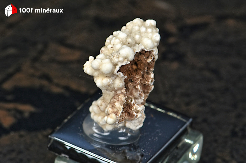 Picropharmacolite de Salsigne (Aude) - Formation botryoïdale blanche BE898.