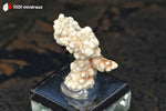 Picropharmacolite de France (Salsigne, Aude) - 8 g / BE898 - Vignette | 1001 minéraux