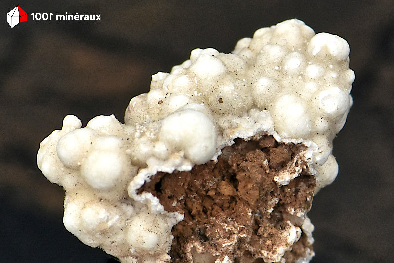 Détail de la surface botryoïdale de la Picropharmacolite de Salsigne.