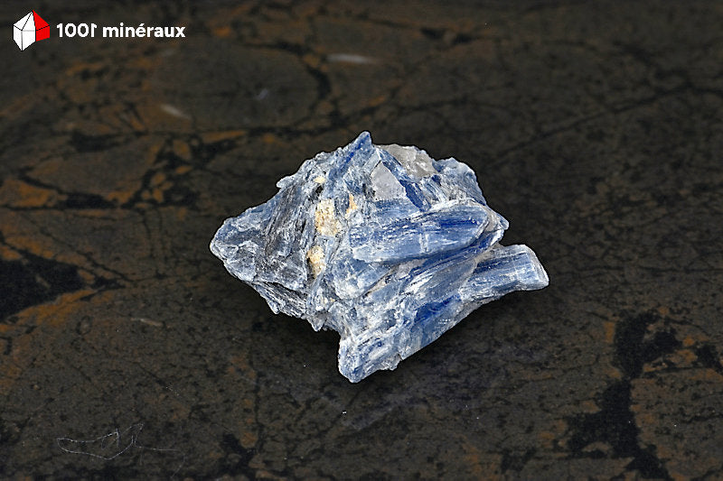 Kyanite du Brésil - Lames cristallisées de 31 g, vue d'ensemble - BE907