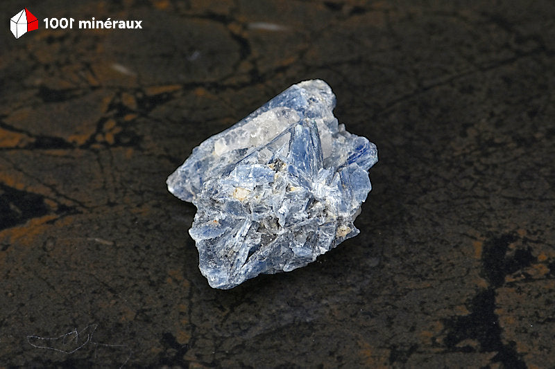 Kyanite du Brésil - Vue d'ensemble, teintes bleues zonées - 31 g