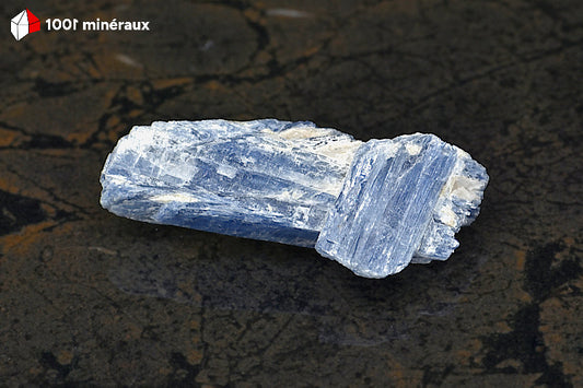 Kyanite bleue sur Quartz du Brésil - Vue d'ensemble, lames enchevêtrées - 42 g