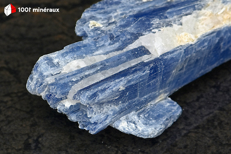 Kyanite bleue sur Quartz du Brésil - Détail du contraste bleu et blanc - BE908