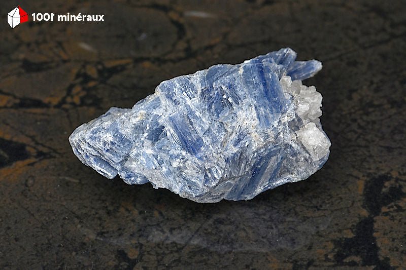 Kyanite bleue sur Quartz du Brésil - Vue d'ensemble, amas de lames bleues - 65 g