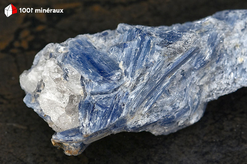Kyanite bleue sur Quartz du Brésil - Détail des lames zonées sur gangue blanche - BE909
