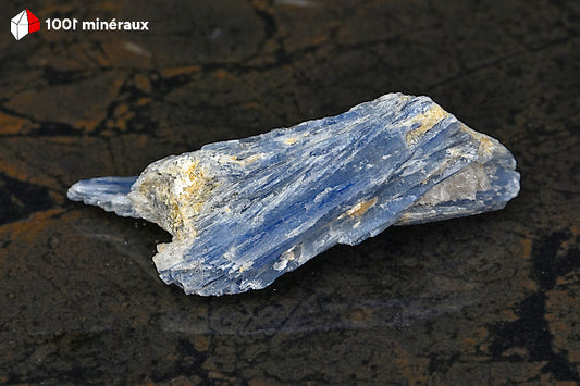 Kyanite bleue sur Quartz du Brésil - Vue d'ensemble, longues lames élancées - 53 g
