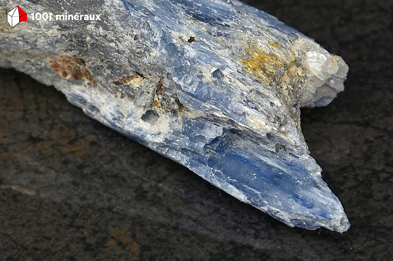 Kyanite bleue sur Quartz du Brésil - Détail des lames à l'éclat vitreux - BE910