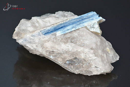 Minéral cristallisé de Kyanite bleue du Brésil