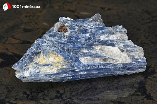 Kyanite bleue sur Quartz du Brésil - Vue d'ensemble, lames rayonnantes - 148 g