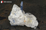 Kyanite bleue sur Quartz translucide du Brésil - 152 g / BE927 - Vignette | 1001 minéraux