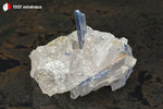 Kyanite bleue sur Quartz translucide du Brésil - 152 g / BE927 - Vignette | 1001 minéraux
