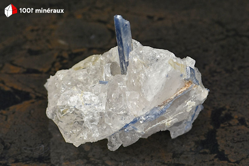 Kyanite bleue sur Quartz du Brésil - Vue d'ensemble, lame perpendiculaire - 152 g