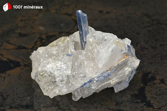 Kyanite bleue sur Quartz du Brésil - Vue d'ensemble, lame perpendiculaire - 152 g