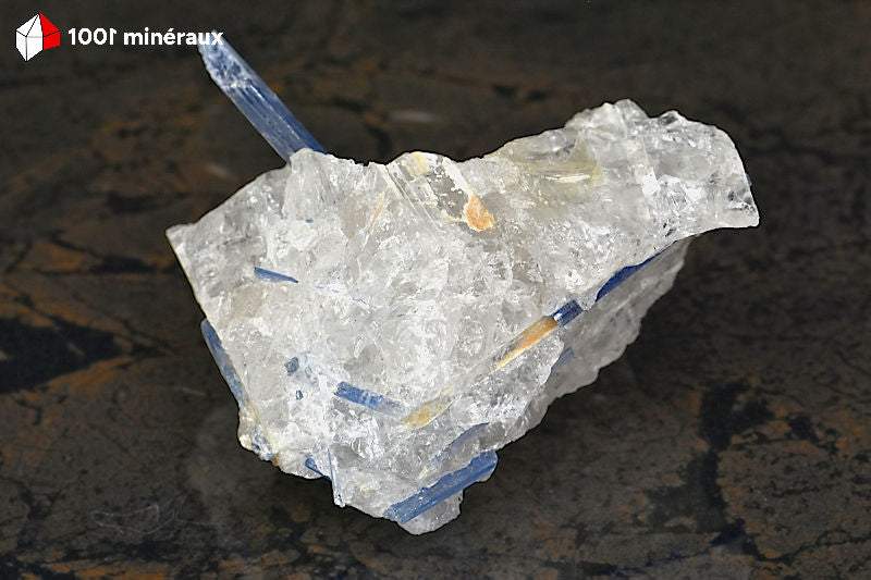 Kyanite bleue sur Quartz du Brésil - Vue d'ensemble face arrière - BE927
