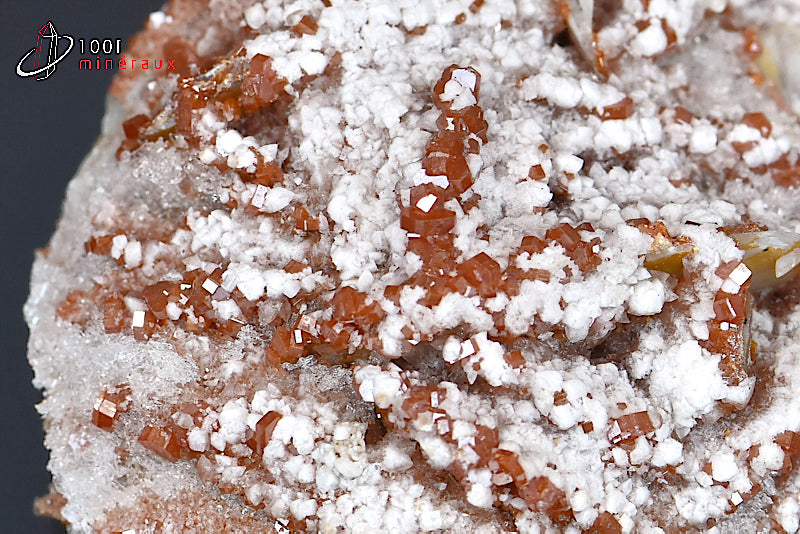 Minéral cristallisé d'une vanadinite rouge avec calcite blanche du Maroc