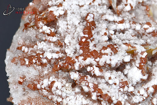 Minéral cristallisé d'une vanadinite rouge avec calcite blanche du Maroc