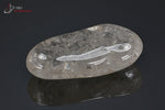Cristal de roche poli - Brésil - pierres polies 5,4 cm / 38g / BE955 - Vignette | 1001 minéraux