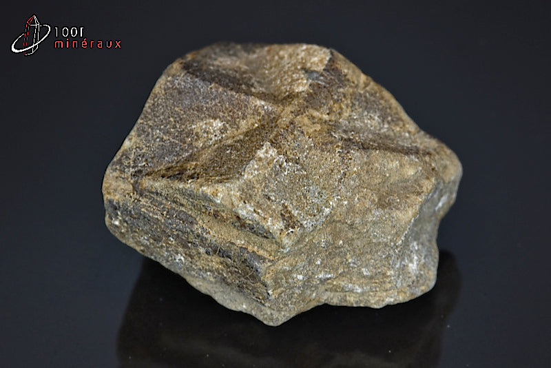Minéral de staurotide cristallisée de France