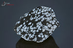 Obsidienne flocons de neige 1 face polie - Mexique - minéraux bruts 6,1 cm / 100g / BF190 - Vignette | 1001 minéraux