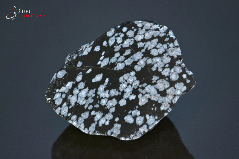 Minéral brut d'obsidienne brune tâchetée du Mexique