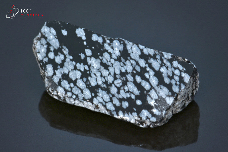 Minéral brut d'obsidienne flocons de neige noire et blanche du Mexique