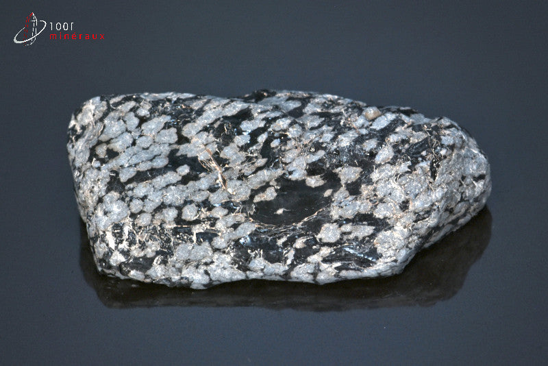 Minéral brut d'obsidienne flocons de neige noire et blanche du Mexique