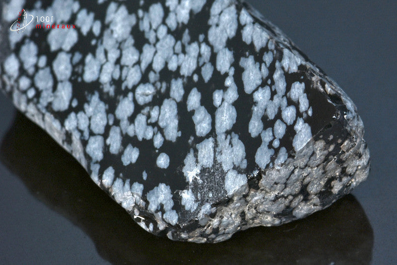 Minéral brut d'obsidienne flocons de neige noire et blanche du Mexique
