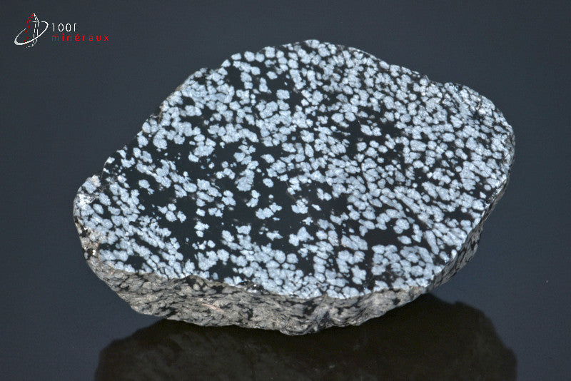 Minéral brut d'obsidienne flocons de neige noire et blanche du Mexique