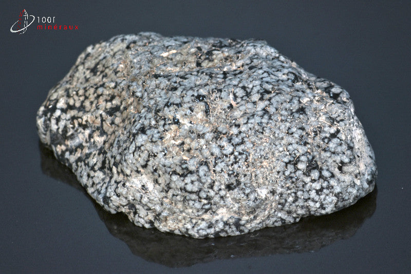 Minéral brut d'obsidienne flocons de neige noire et blanche du Mexique