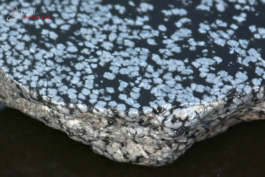 Minéral brut d'obsidienne flocons de neige noire et blanche du Mexique