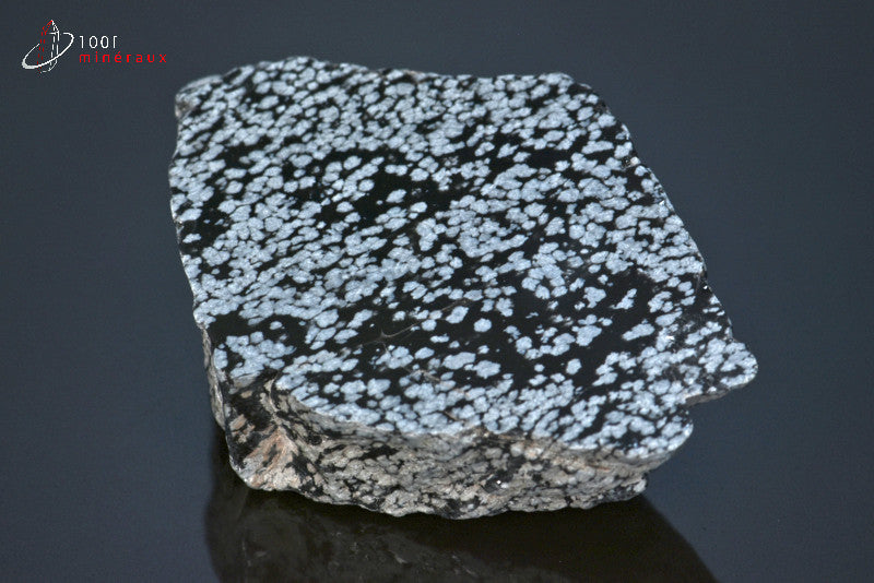 Minéral brut d'obsidienne flocons de neige noire et blanche du Mexique