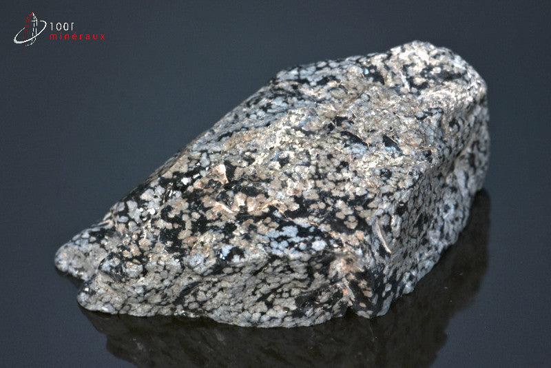 Minéral brut d'obsidienne flocons de neige noire et blanche du Mexique