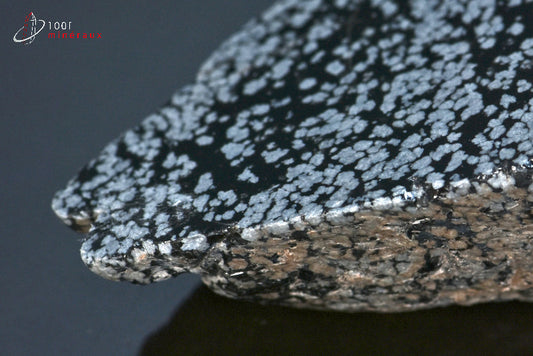 Minéral brut d'obsidienne flocons de neige noire et blanche du Mexique
