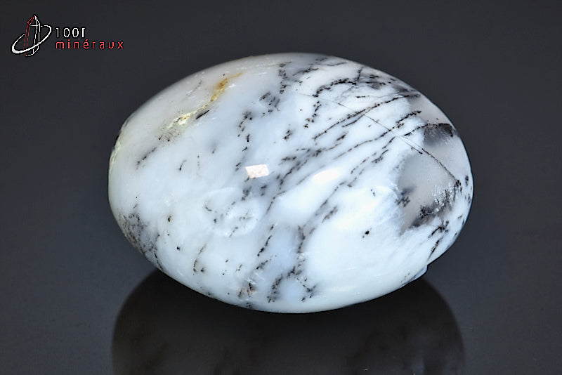 Minéral poli d'opale à dendrites de Madagascar