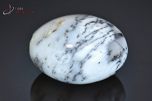 Minéral poli d'opale à dendrites de Madagascar