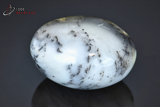 Minéral poli d'opale à dendrites de Madagascar