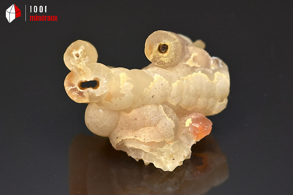 Minéral cristallisé de calcédoine bambou des Philippines