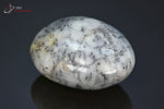 Opale à dendrites galet poli - Madagascar - pierres polies 6,1 cm / 103g / BF34 - Vignette | 1001 minéraux