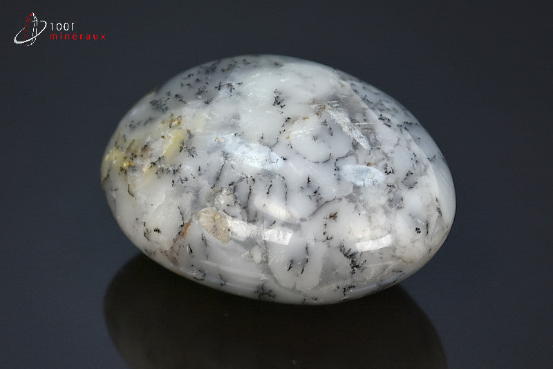 Minéral poli d'opale à dendrites de Madagascar