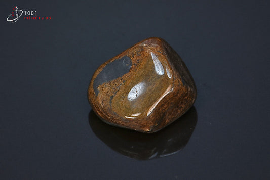 Minéral poli de bronzite marron des Etats-Unis