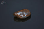Bronzite polie - USA - pierres roulées 2,9 cm / 10g / BF37 - Vignette | 1001 minéraux